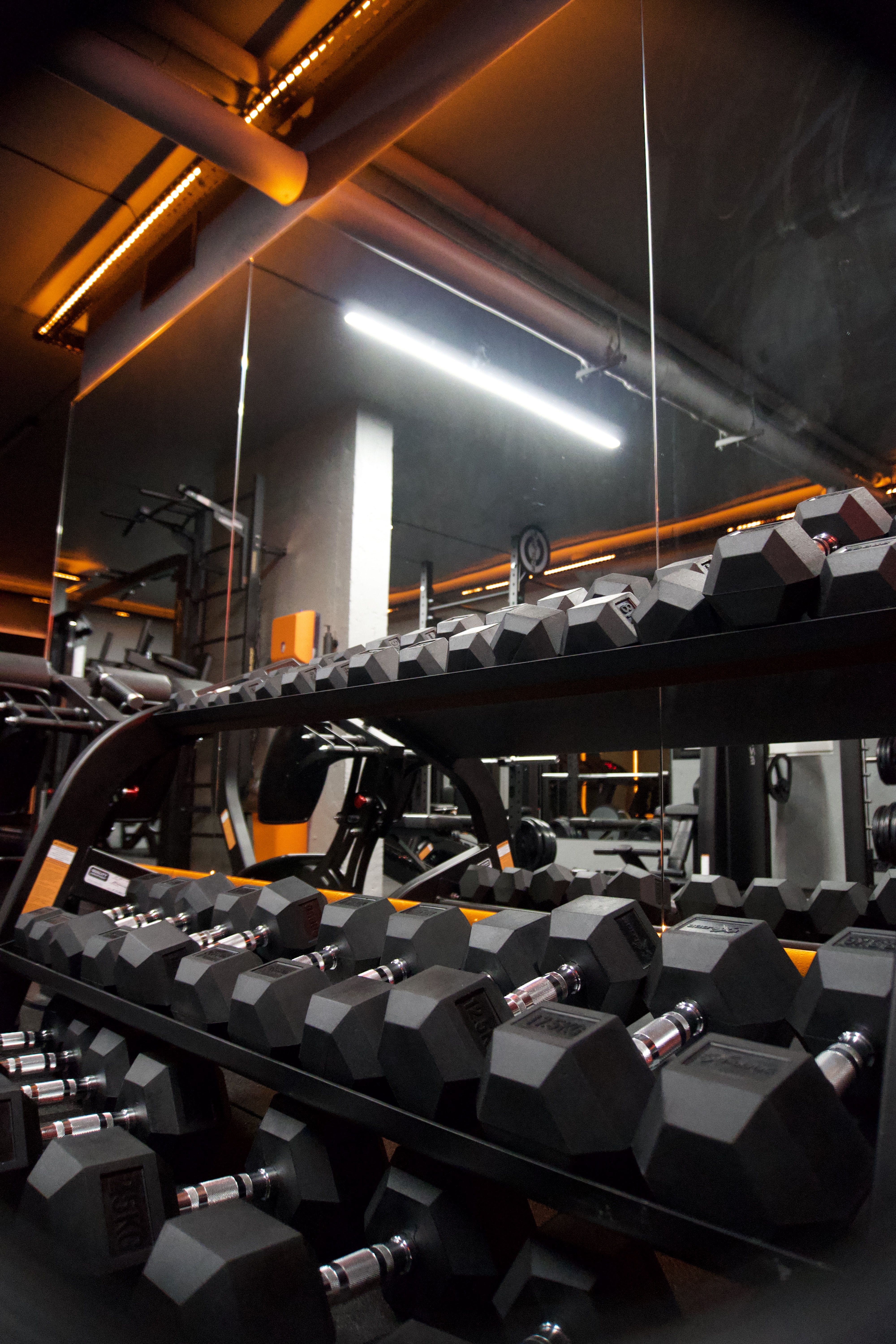 Гантелі у тренажерному залі SWITCH GYM